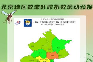 电讯报预测2024：英格兰夺欧洲杯曼城卫冕英超，贝林厄姆年度最佳